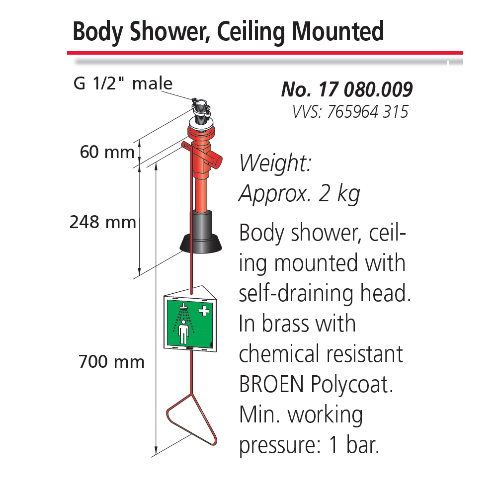 Body Shower - Ceiling Mounted